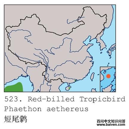 ��β�s�ĵ����ֲ�ͼ