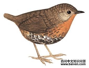 ��β���̵�ͼ��