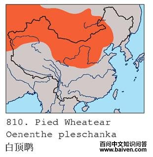 �׶��S�ĵ����ֲ�ͼ