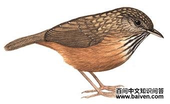 ��β���̵�ͼ��