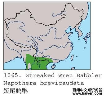 ��β���̵ĵ����ֲ�ͼ