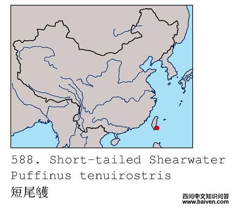 ��β�׵ĵ����ֲ�ͼ