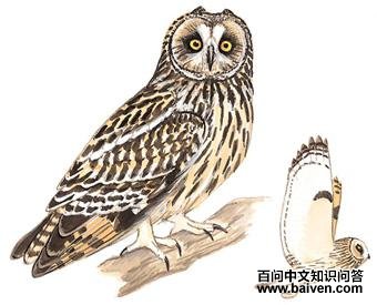 �̶��^��ͼ��