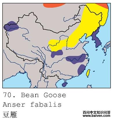 ����ĵ����ֲ�ͼ