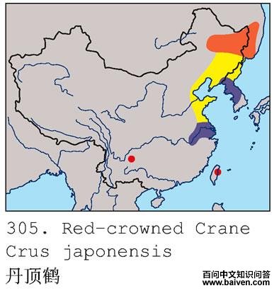 �����׵ĵ����ֲ�ͼ