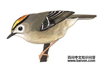 ���յ�ͼ��