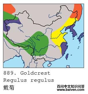 ���յĵ����ֲ�ͼ