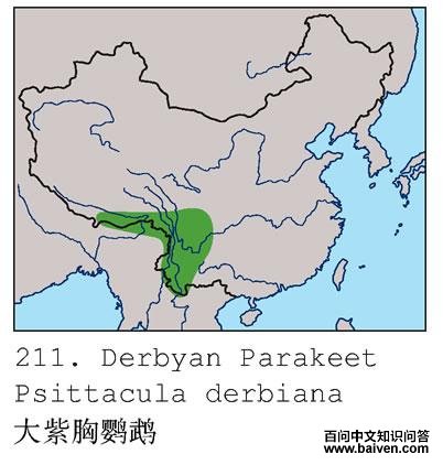 ���������ĵĵ����ֲ�ͼ