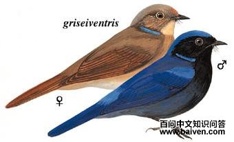 �����l��ͼ��