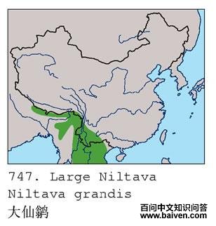 �����l�ĵ����ֲ�ͼ