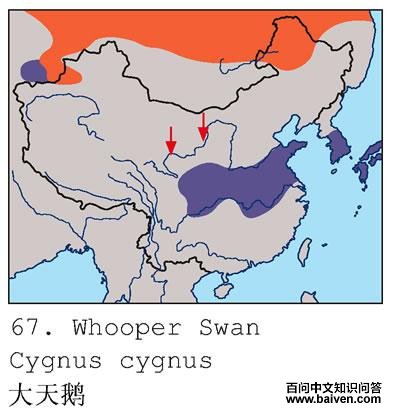 �����ĵ����ֲ�ͼ