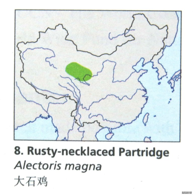 ��ʯ���ĵ����ֲ�ͼ