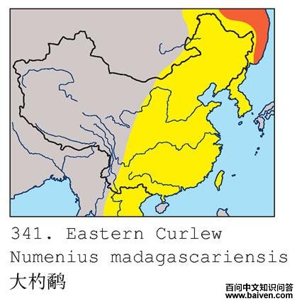 ����ֵĵ����ֲ�ͼ