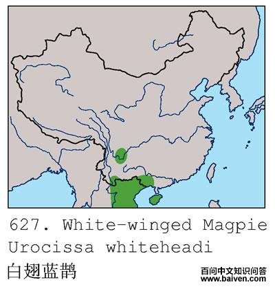 �׳���ȵ�ĵ����ֲ�ͼ