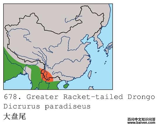 ����β�ĵ����ֲ�ͼ