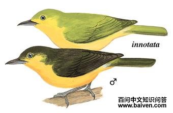 ����ȸ�ǵ�ͼ��