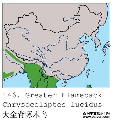 �����ľ��ĵ����ֲ�ͼ