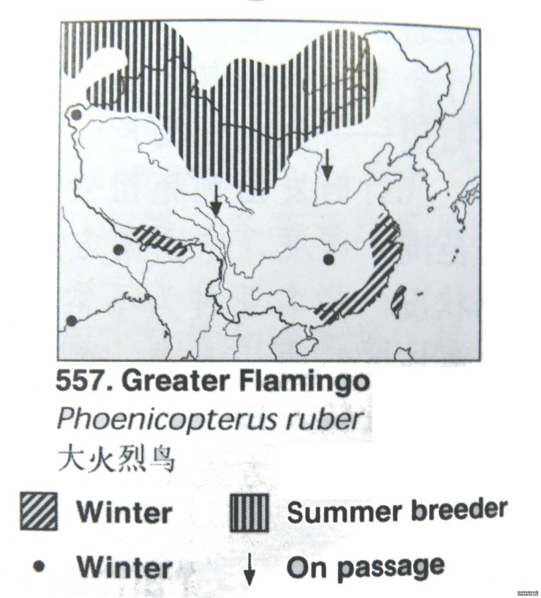 �������[�����]�ĵ����ֲ�ͼ