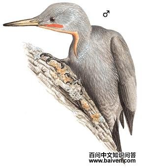 �����ľ���ͼ��