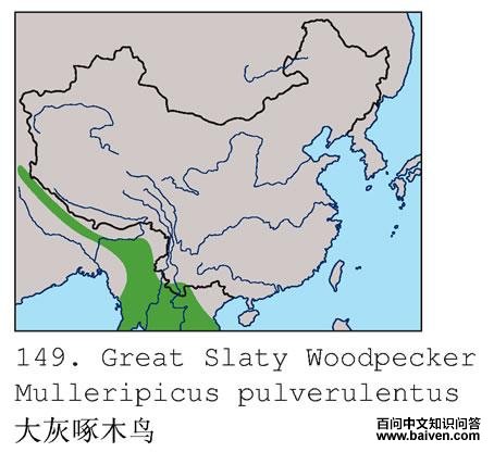 �����ľ��ĵ����ֲ�ͼ