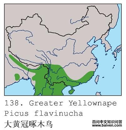 ��ƹ���ľ��ĵ����ֲ�ͼ