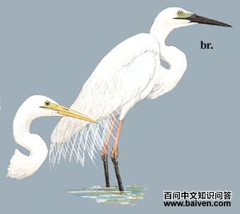 ����ص�ͼ��