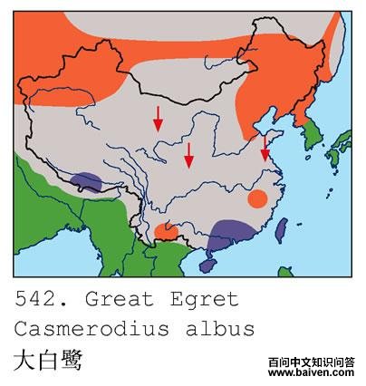 ����صĵ����ֲ�ͼ