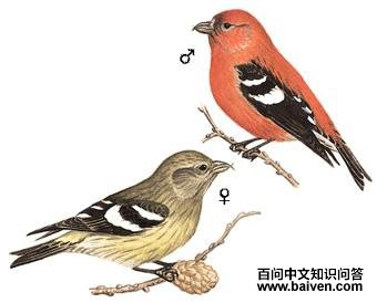 �׳ύ��ȸ��ͼ��