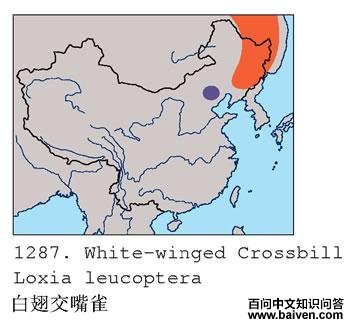 �׳ύ��ȸ�ĵ����ֲ�ͼ