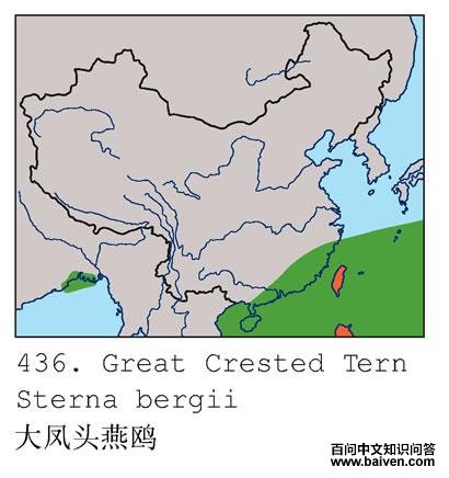 ���ͷ��Ÿ�ĵ����ֲ�ͼ