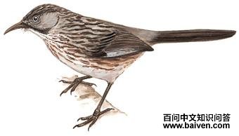 ����̵�ͼ��