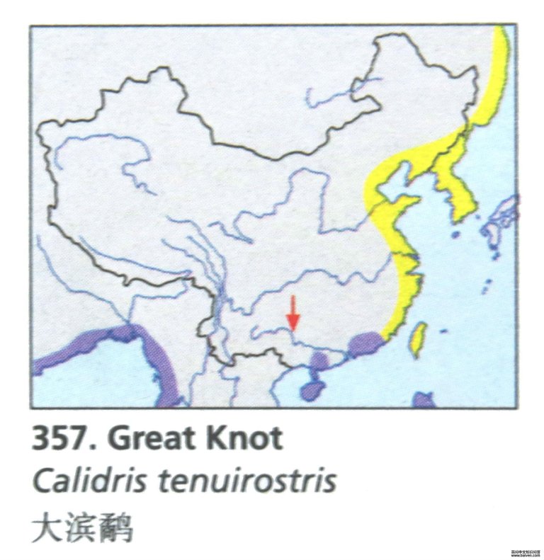 ����ֵĵ����ֲ�ͼ