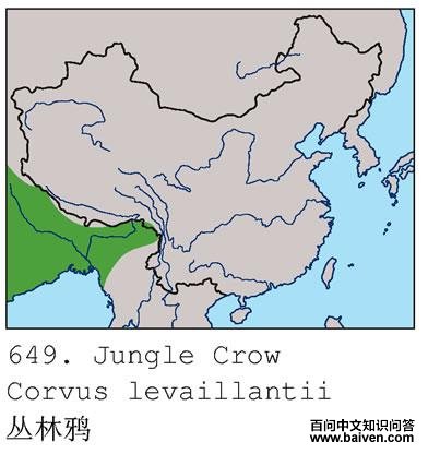 ����ѻ�ĵ����ֲ�ͼ