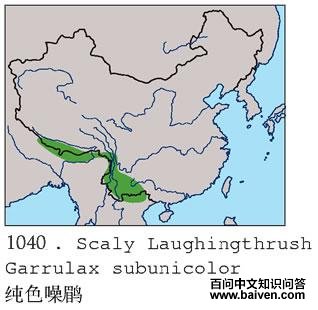 ��ɫ���̵ĵ����ֲ�ͼ