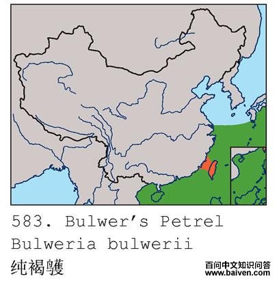 �����׵ĵ����ֲ�ͼ