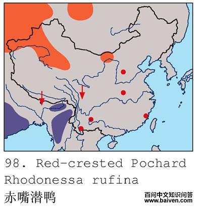 ����ǱѼ�ĵ����ֲ�ͼ