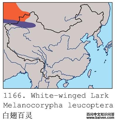 �׳����ĵ����ֲ�ͼ