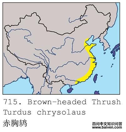 �����ĵ����ֲ�ͼ