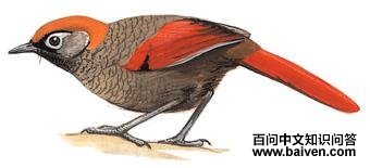 ��β���̵�ͼ��