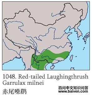 ��β���̵ĵ����ֲ�ͼ