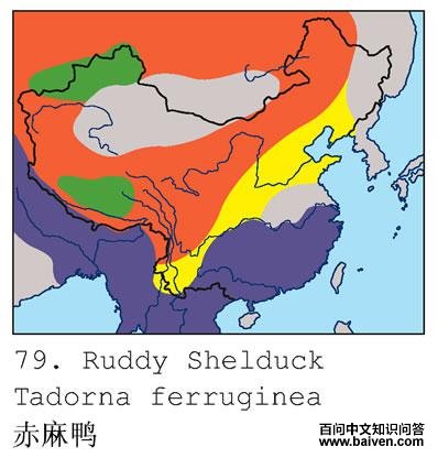 ����Ѽ�ĵ����ֲ�ͼ