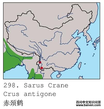 �ྱ�׵ĵ����ֲ�ͼ