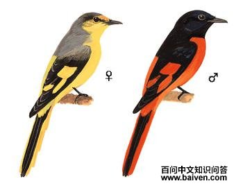 ���ɽ�����ͼ��