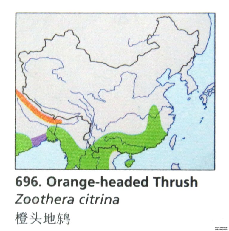 ��ͷ���ĵ����ֲ�ͼ