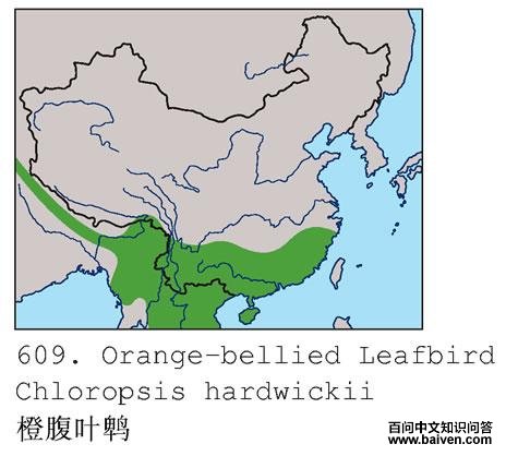 �ȸ�Ҷ�ǵĵ����ֲ�ͼ