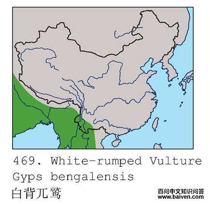 �ױ�أ�յĵ����ֲ�ͼ