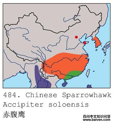 �ูӥ�ĵ����ֲ�ͼ