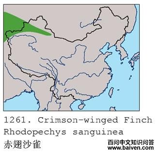 ���ɳȸ�ĵ����ֲ�ͼ