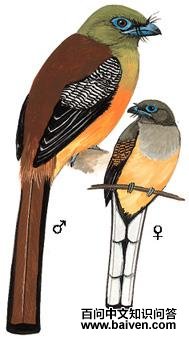 ����ҧ���ͼ��