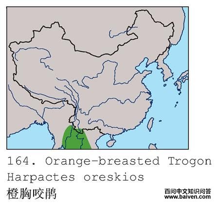 ����ҧ��ĵ����ֲ�ͼ